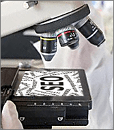 Microscope with word SEO on slide