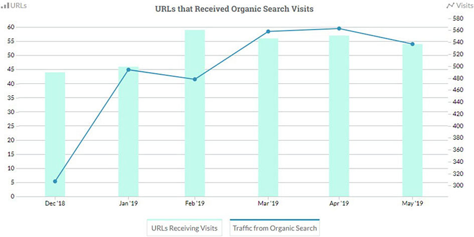 Graph of organic search traffic for 6 months